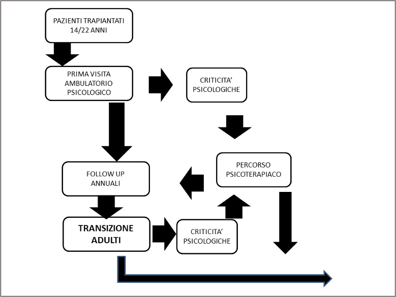 Organizzazione dell’Ambulatorio Psicologico per Adolescenti Trapiantati